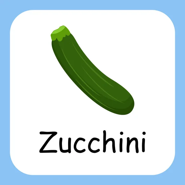 Platt Illustration Zucchini Med Text Vektor Design Utbildning För Barn — Stock vektor