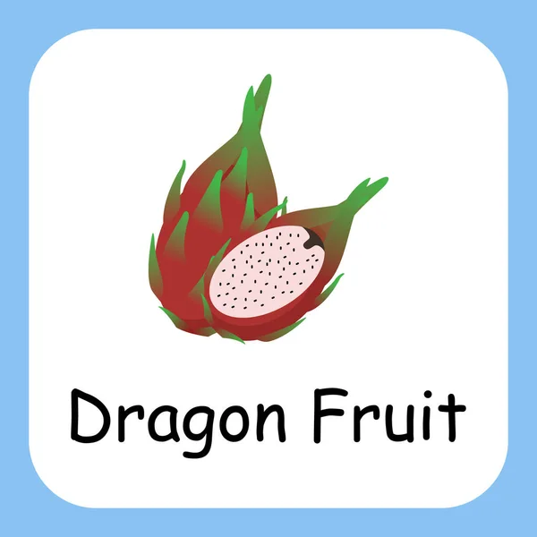 Flat Illustration Dragon Fruit Text Vector Design Vzdělání Pro Děti — Stockový vektor