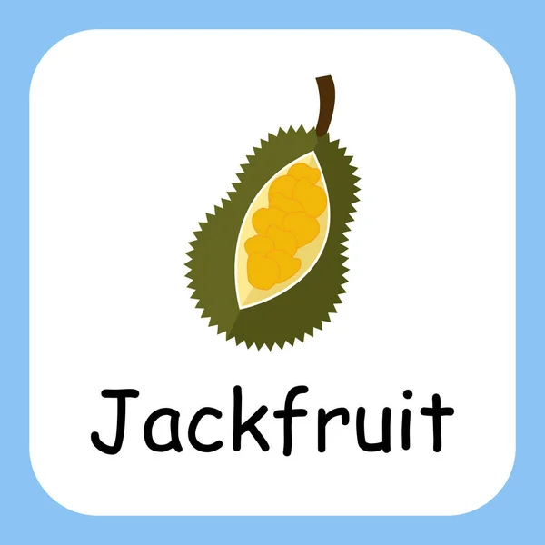 Metin Vektörü Tasarımı ile Jackfruit 'in Düz Çizimi. Çocuklar için Eğitim.