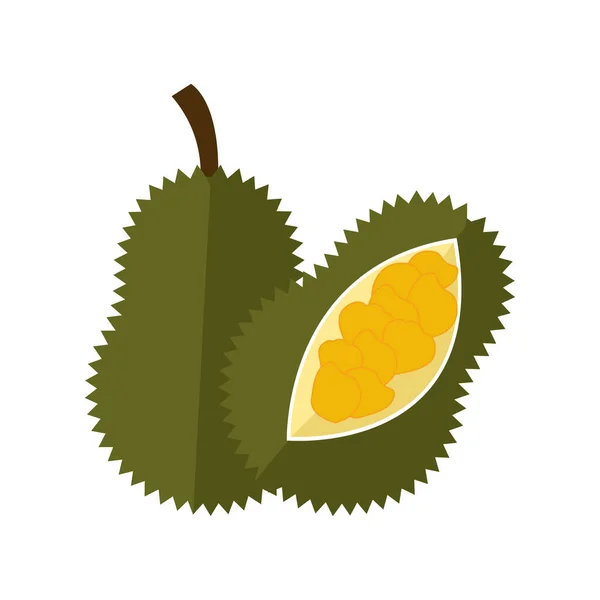 Jackfruit Flat Design Vektor Illusztráció Elszigetelt Fehér Háttér — Stock Vector