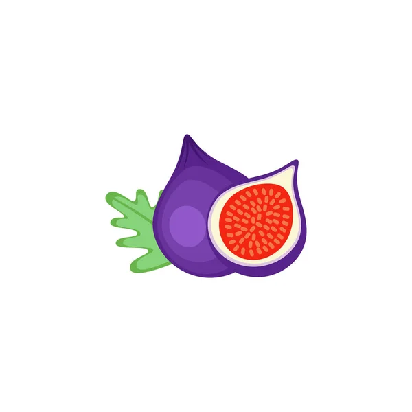 Fig Frukt Platt Design Vektor Illustration Isolerad Vit Bakgrund — Stock vektor