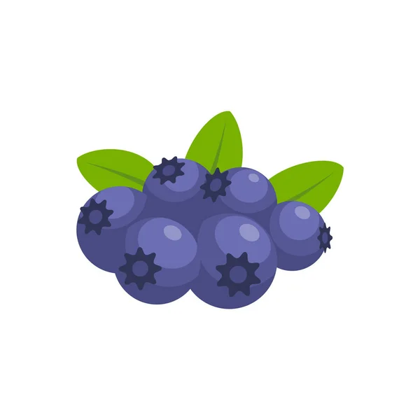 Blueberries Fruit Flat Design Vector Illustration Isolated White Background — стоковый вектор