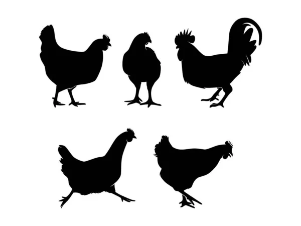 Set Chickens Silhouette Vector Isolated Animal Silhouette Illustration — Stock vektor