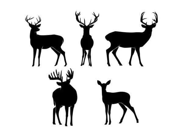 Set Deer Silhouette Vector Isolated Animal Silhouette Illustration — Vector de stock