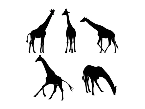 Set Giraffes Silhouette Isolated White Background Vector Illustration — Stock vektor