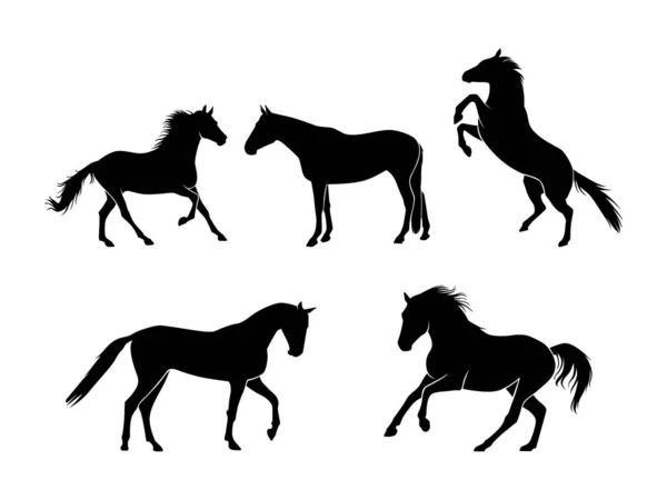 Set Caballos Silueta Vector Aislado Ilustración Silueta Animal — Vector de stock