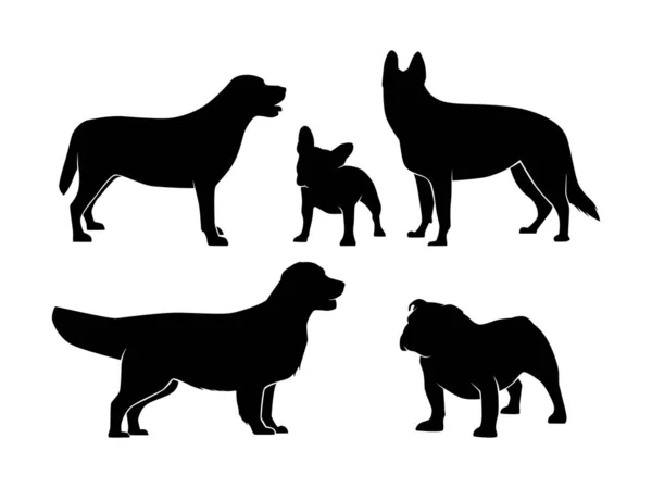 Σύνολο Σκύλων Silhouette Vector Isolated Animal Silhouette Εικονογράφηση — Διανυσματικό Αρχείο