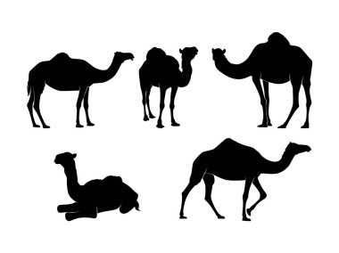 Beyaz arka planda izole edilmiş Camel silueti - Vektör Resimleri