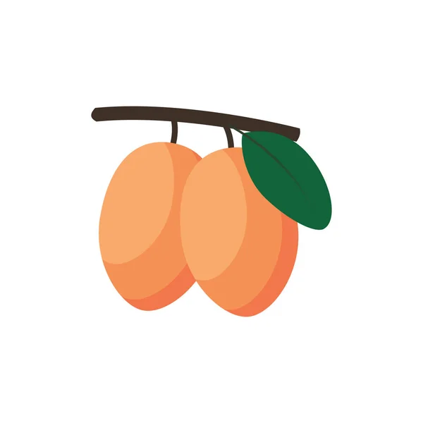 Ximenia Caffra Fruit Flat Design Wektor Ilustracja Izolowana Białym Tle — Wektor stockowy