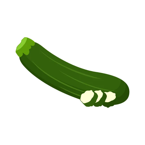 Zucchini Fruta Diseño Plano Vector Ilustración Aislado Sobre Fondo Blanco — Vector de stock