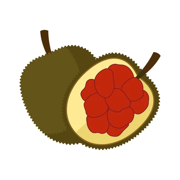 Entawak Fruit Flat Design Vector Illustration Aislado Sobre Fondo Blanco — Archivo Imágenes Vectoriales