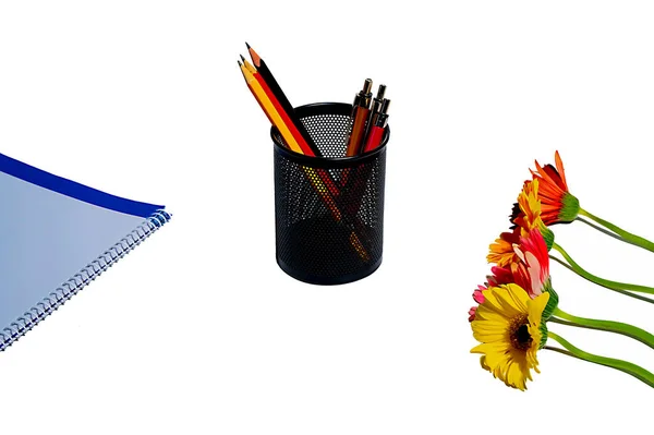 Pencil and pen in pen holder with flower and ped