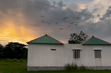 Gün batımı, gökyüzünde uçan kuşlarla birlikte gün doğumu.
