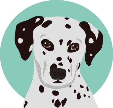 Çelişkili bir arkaplanda Dalmaçyalı köpek