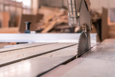 Sawing machine for wood in the workshop for the production of furniture. Woodworking circular saw for cutting.