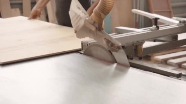 Bir fabrika işçisi dairesel testere ile bir ağaç keser. Kontrplak talaşı uçuyor.