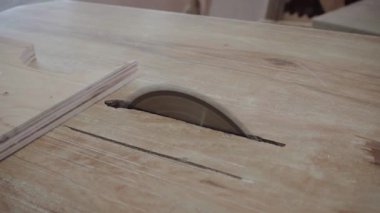 Bir fabrika işçisi dairesel testere ile bir ağaç keser. Kontrplak talaşı uçuyor.