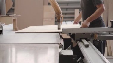 Bir fabrika işçisi dairesel testere ile bir ağaç keser. Kontrplak talaşı uçuyor.