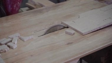 Bir fabrika işçisi dairesel testere ile bir ağaç keser. Çizgili tahta talaşı uçuyor.