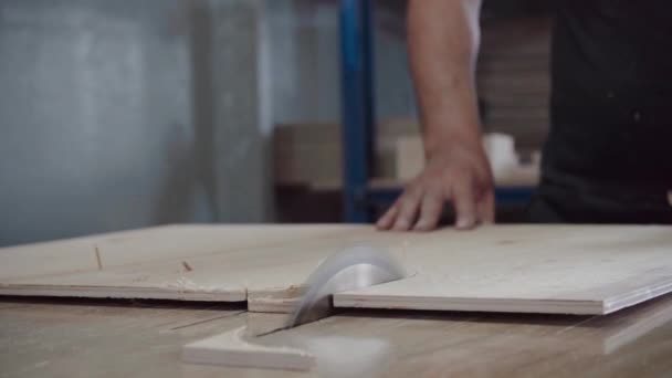 Factory Worker Cuts Tree Circular Saw Sawdust Plywood Flying — Stock Video