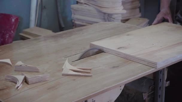 Fabriksarbetare Klipper Ett Träd Med Cirkelsåg Sågspån Plywood Flyger — Stockvideo