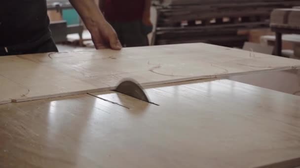 Ouvrier Coupe Arbre Avec Une Scie Circulaire Sciure Contreplaqué Vole — Video