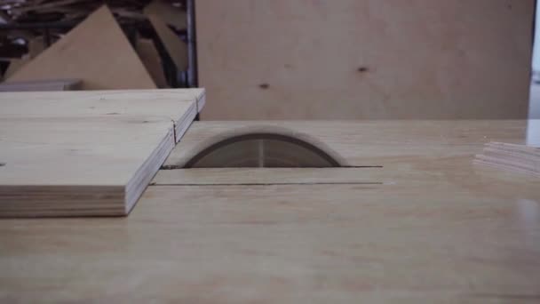 Ein Fabrikarbeiter Sägt Mit Einer Kreissäge Einen Baum Sperrholzspäne Fliegen — Stockvideo