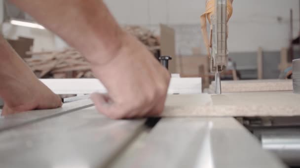 Een Fabrieksarbeider Zaagt Een Boom Met Een Cirkelzaag Spaanplaat Zaagsel — Stockvideo