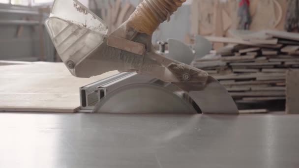 공장에서 일하는 톱으로 나무를 냅니다 합판의 톱밥이 — 비디오