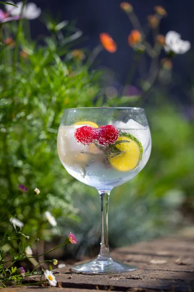 Gin Bevanda Toinica Giardino Giorno Estate — Foto Stock