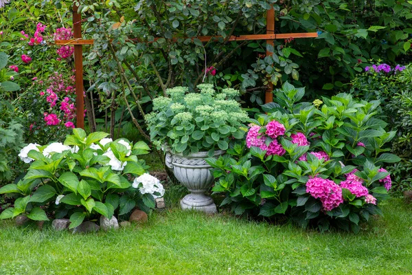 Tuin Met Bloeiende Bloemen Midden Zomer — Stockfoto