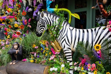 Londra, 26 Mayıs 2022: Chelsea sokakları her yıl düzenlenen Chelsea in Bloom yarışması için çiçek sergileriyle deşifre edildi