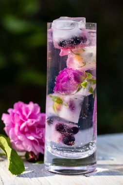 Rose infused gin and tonic in highball glass clipart
