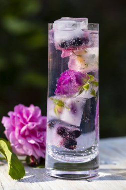 Rose infused gin and tonic in highball glass clipart