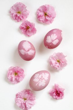 Doğal olarak boyalı Paskalya yumurtaları