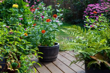 Bahçe yazın çiçek açar.