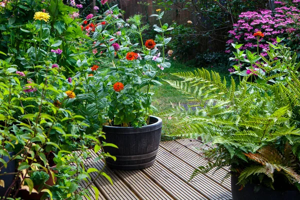 Bahçe yazın çiçek açar.