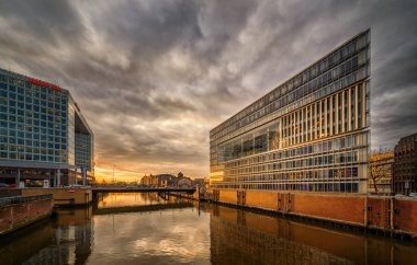 NFT Zengin Maymun Adası Solana