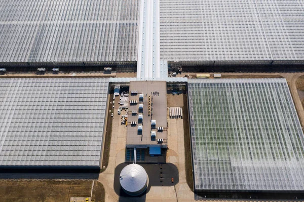 Промышленные Сельскохозяйственные Теплицы Выращивания Овощей Вид Воздуха — стоковое фото