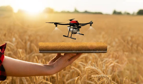 Farmer holding a tablet with drone sprayer — Stock Photo, Image