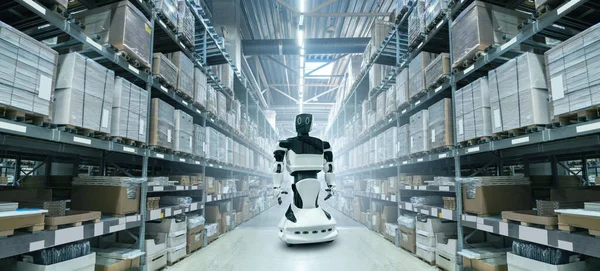 Robot in an automatic warehouse