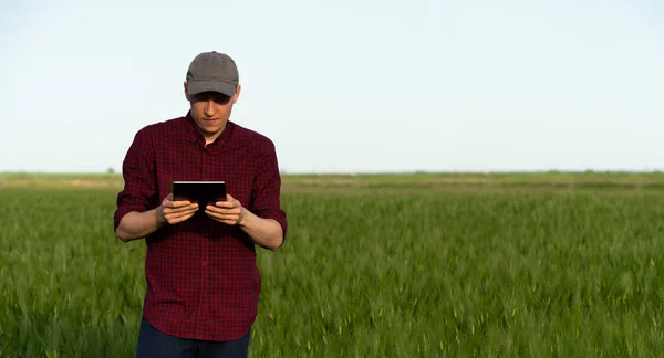 Contadino Con Tavoletta Digitale Campo Segale Agricoltura Intelligente Trasformazione Digitale — Foto Stock