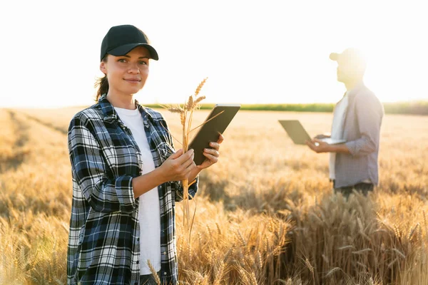 Couple Farmers Examines Field Cereals Sends Data Cloud Digital Tablet — Stok fotoğraf