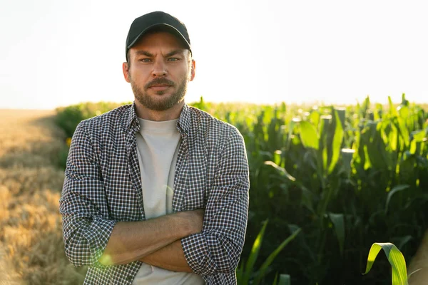 Bearded Farmer Cap Plaid Shirt Background Corn Field — Φωτογραφία Αρχείου
