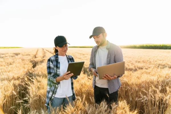 Couple Farmers Examines Field Cereals Sends Data Cloud Digital Tablet — 스톡 사진