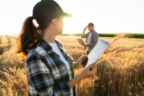 Couple Farmers Examines Field Cereals Sends Data Cloud Digital Tablet — Fotografia de Stock