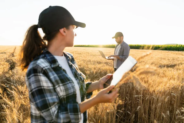 Couple Farmers Examines Field Cereals Sends Data Cloud Digital Tablet — Fotografia de Stock