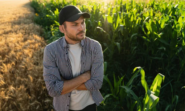 Bearded Farmer Cap Plaid Shirt Background Corn Field — Foto de Stock