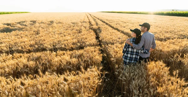Couple Farmers Plaid Shirts Caps Stand Embracing Agricultural Field Wheat — Stock fotografie