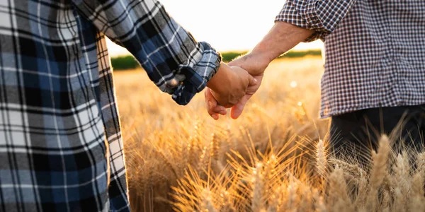 Couple Farmers Plaid Shirts Caps Holding Hands Agricultural Field Wheat — Foto Stock